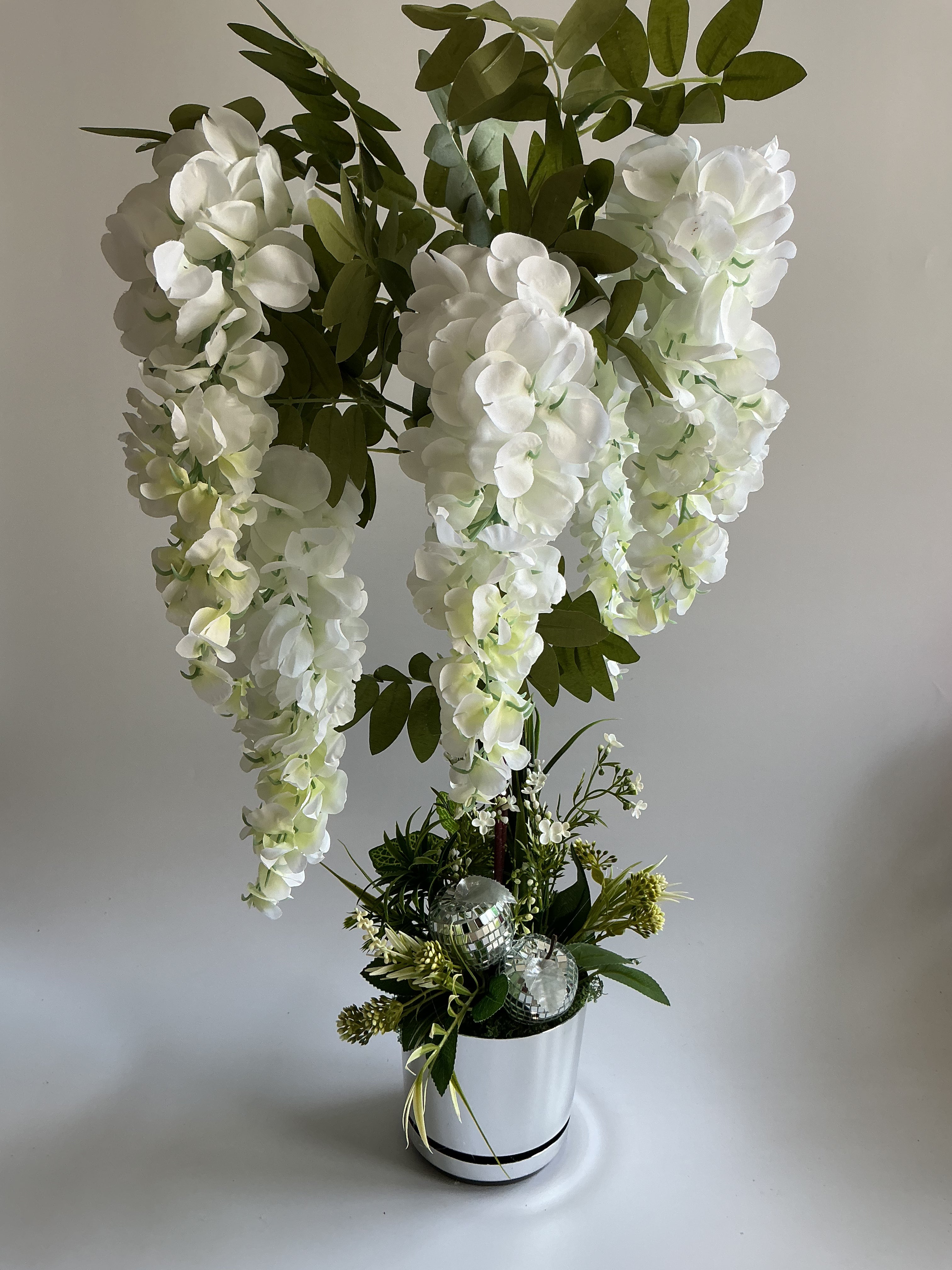 Wisteria